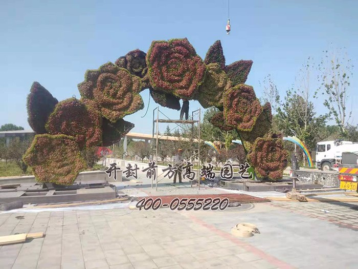 河南鄭州五色草造型案例